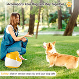 Automatic Throwing Machine Pet Outdoor Toy Ball Dog Tennis Launcher Dog Walking Tool