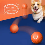 Durable Rubber Dog Chew Ball