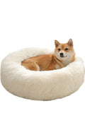 Comfy Calming Pet Bed