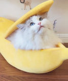 Cama de gato banana