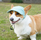 Pet Casual Hat