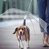 Capa de chuva criativa para filhotes com coleira para cachorro