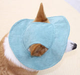 Pet Casual Hat