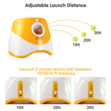 Automatic Throwing Machine Pet Outdoor Toy Ball Dog Tennis Launcher Dog Walking Tool