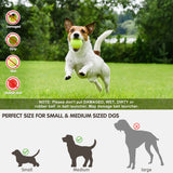 Automatic Throwing Machine Pet Outdoor Toy Ball Dog Tennis Launcher Dog Walking Tool