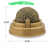 Cat Snack Tooth Cleaning Molar Hair Removing